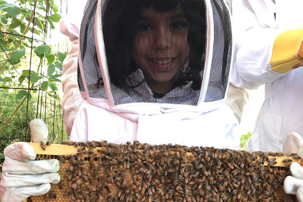 A new beekeeper suits up and explores Public Hives. (Photo via PublicHives)