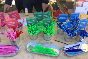Colourful sticks used to mark people's preferred mode of transportation and their needs